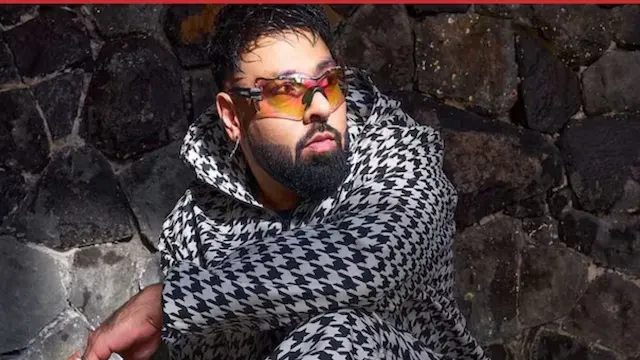 Badshah’s Net Worth